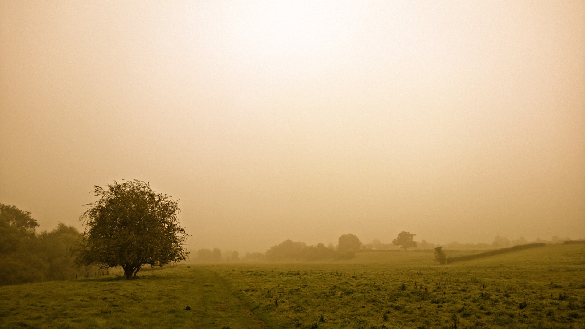 River Dee -Pasture land, Holt Clwyd North Wales